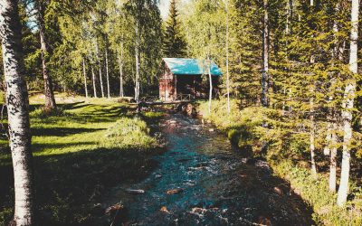 Piiloon Kolin kupeeseen, Itä-Suomen siiven alle 